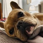 Mr. Huey Jones - @hubertdouglasj - Instagram