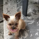 Rachel Hubert Claude Dupuis - @rachelhubertclaude - Instagram