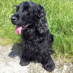 Hubert Engstler - @hubertengstler - Instagram