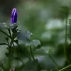 hubertengelhardt - @hubertengelhardt - TikTok