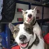 hubertesser7 - @hubertesser7 - TikTok