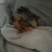 Hubert Forel - Facebook