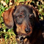 Hubert Gamber - @hubertgamber - Instagram