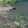 Hubert Genty - @hubertgenty - TikTok