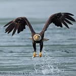 Hubert Gonzalez - @hubert.gonzalez.54 - Instagram