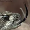 hubertgonzalez7 - @hubertgonzalez7 - TikTok