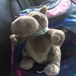 Hubert Green - @hubert_the_hippo - Instagram