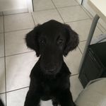 Hubert Gross - @huca58 - Instagram