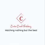 Hubert Carter - @carterscreekhatchery - Instagram