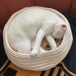 Hubert Henderson - @toinnyeljana - Instagram