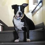 Hoover Hubert Johnson - @hooviej - Instagram