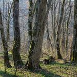 Hubert Nowicki - @huberthunter123 - Instagram