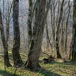 Hubert Nowicki - @huberthunter123 - Instagram