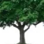 @huberthunter6000 - Instagram