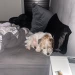 Hubert - @hubert.jones_ - Instagram
