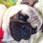 Hubert Jones - @thenameshubert - Instagram
