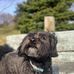 Hubert Jones - Facebook