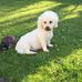 Hubert Jones - Facebook