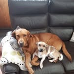 Hubert Klein - @hubert.klein.940 - Instagram