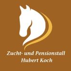 Zucht- und Pensionsstall Hubert Koch - Facebook