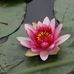 Hubert Lewis - Facebook