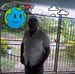 Hubert Lewis - Facebook