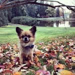 Hubert + little bro Oski - @don.huberto - Instagram