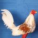 Hubert Melean - Facebook
