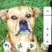 Hubert Miller - Facebook