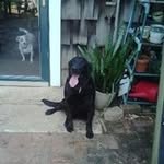 John Hubert Moore - @john.h.moore.75 - Instagram