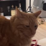 Hubert Reed - @hubert_reed77 - Instagram