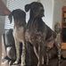 Hubert Deacon Starnes - Facebook