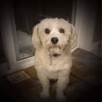 Hubert Stokes - @hubertstokes - Instagram