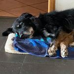 Hubert Wagner - @hubert.wagner.372 - Instagram