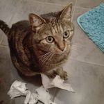 Hubert Wagner - @hubert.wagner.186 - Instagram