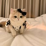 Jenny - @hubertwelchhancezum - Instagram