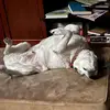 Hubert Wilkerson - @hubert.wilkerson - TikTok