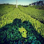 Hubert Wong - @hubert.wong.180 - Instagram