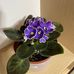 Hubert Wong - Facebook
