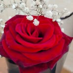 Huda Abdoh - Facebook
