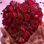 huda - @huda_abdo_ - Instagram