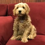 Hudson Harris - @hudsonharristv - Instagram