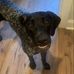 Hudson Reed - Facebook