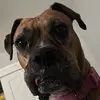 Hudson Walker - @offbrandlilhudy - TikTok