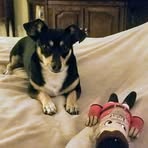 Hudson Walker - Facebook