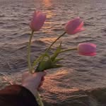 hanah - @huey_yee_ - Instagram