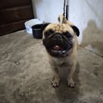 Hugh Albert - @ppeltoro62 - Instagram