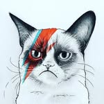 Hugh Albert - @hughalbert4 - Instagram