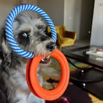 Hugo Aloysius Baldwin - @hugobschnood - Instagram