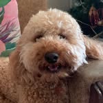 @hugh_barrett25 - Instagram